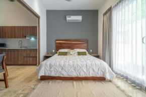 Lux Studio with Private Plunge Pool and Gym